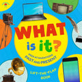 What Is It? Lift-the-Flap Board Book